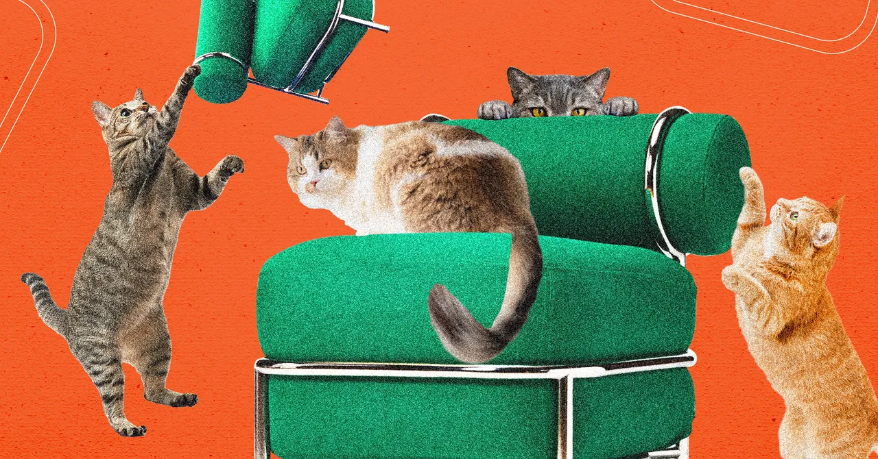 La Nuova Sedia Gonfiabile Ikea Testata dai Gatti
