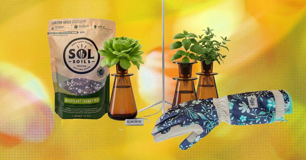 I 15 Migliori Regali per Amanti delle Piante e Giardinieri (2026)