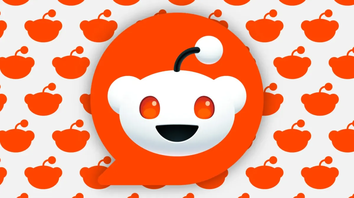 La gente sta finalmente usando la ricerca di Reddit