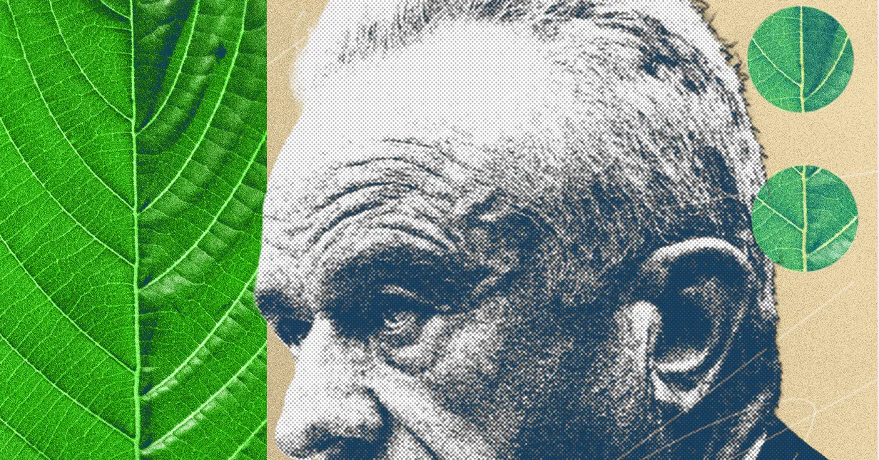 La guerra civile del Kratom si infiamma e MAHA si è schierata
