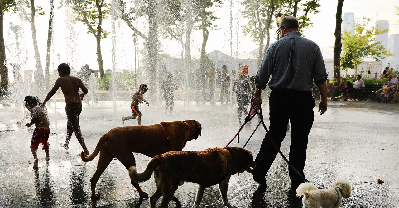 New York sta per essere più calda di Phoenix