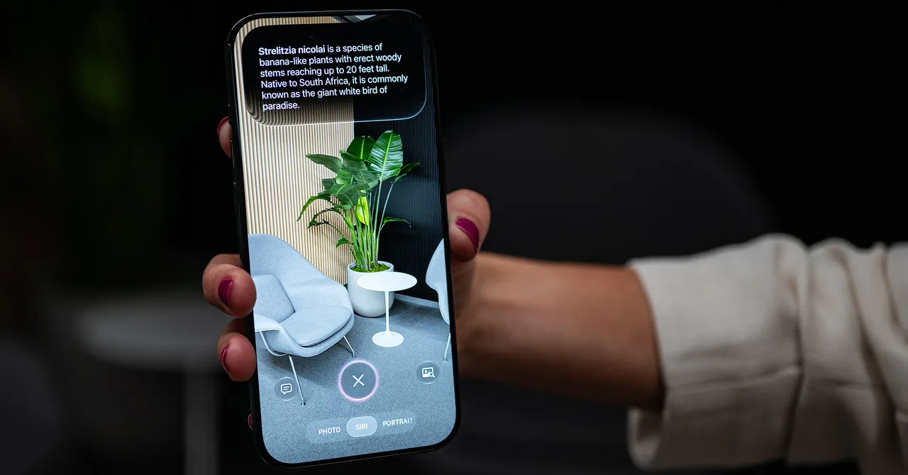 Il capo delle fotocamere Apple pensa che l’IA possa darti superpoteri