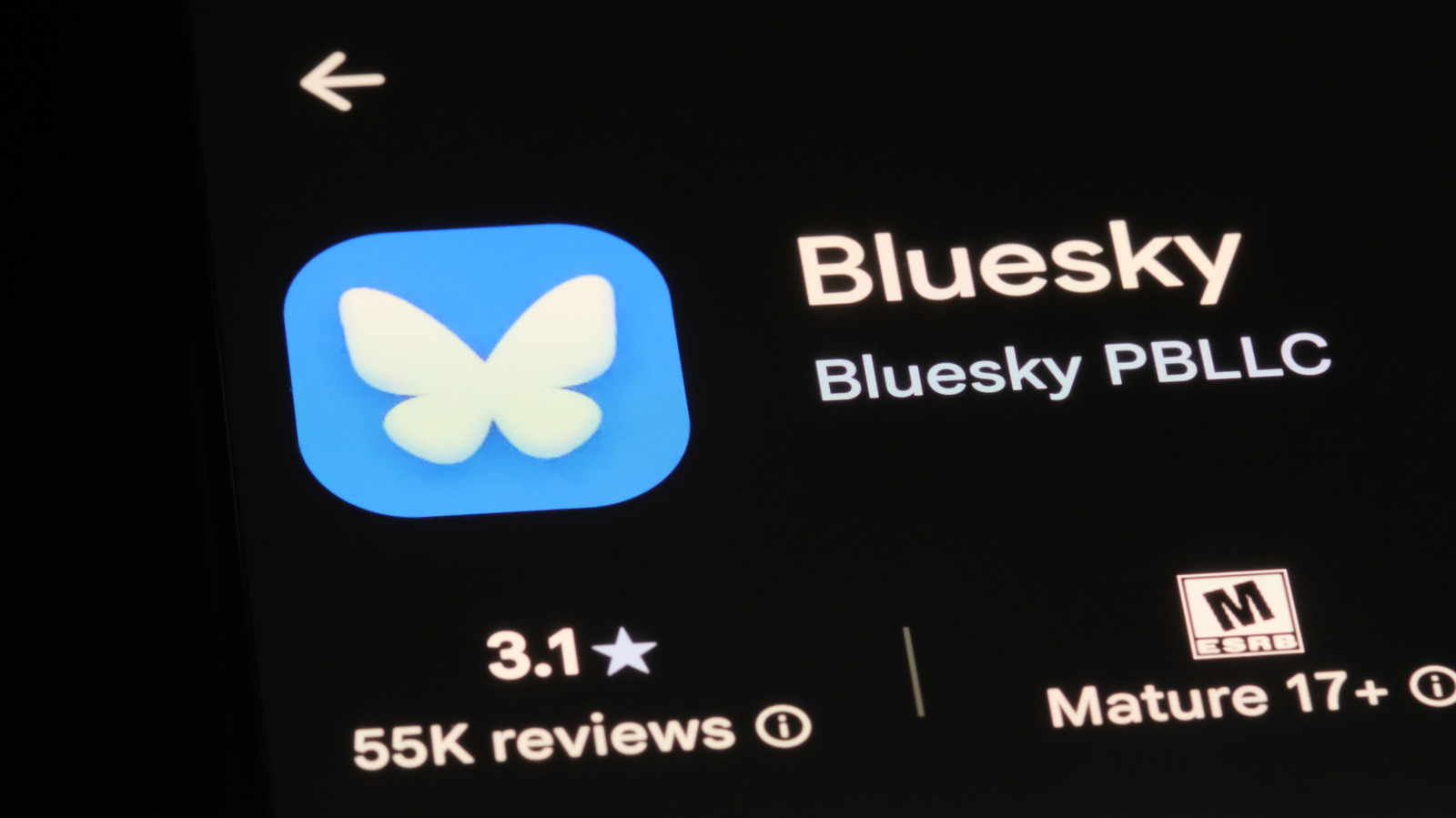 Bluesky torna ad avere un CEO ufficiale