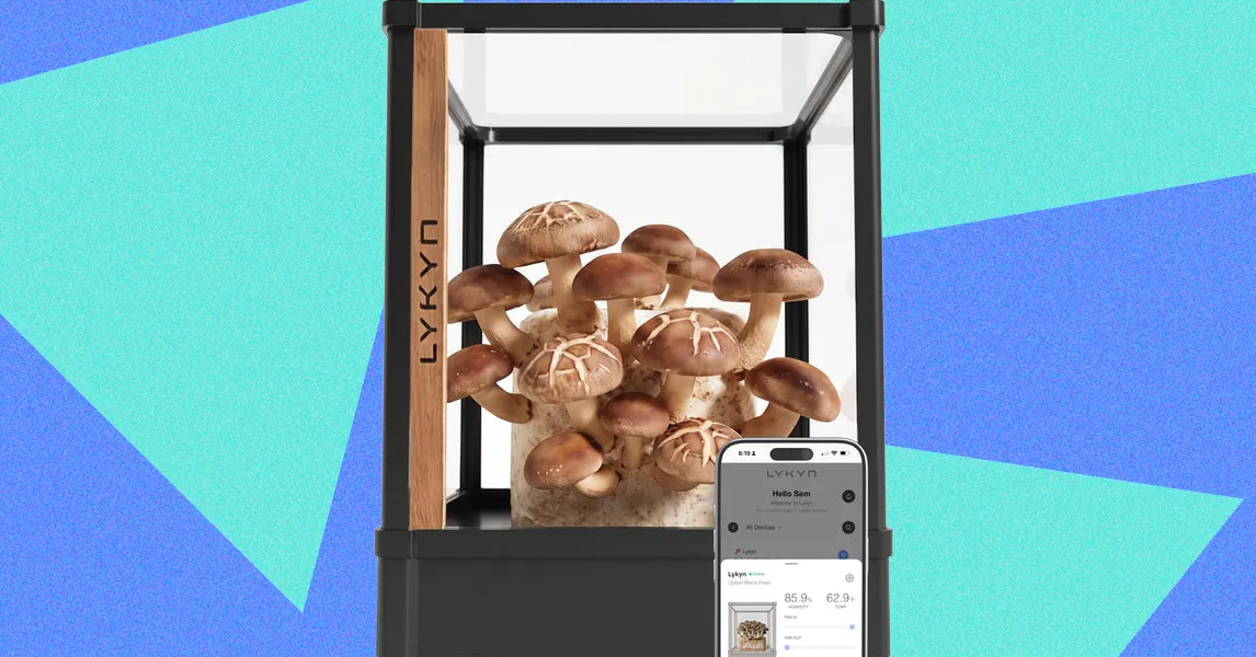 Recensione Lykyn: Un Giardino di Funghi da Esibire
