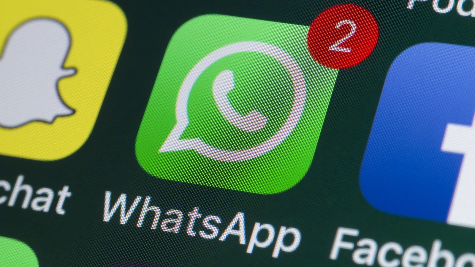 Gli utenti WhatsApp potranno presto programmare i messaggi